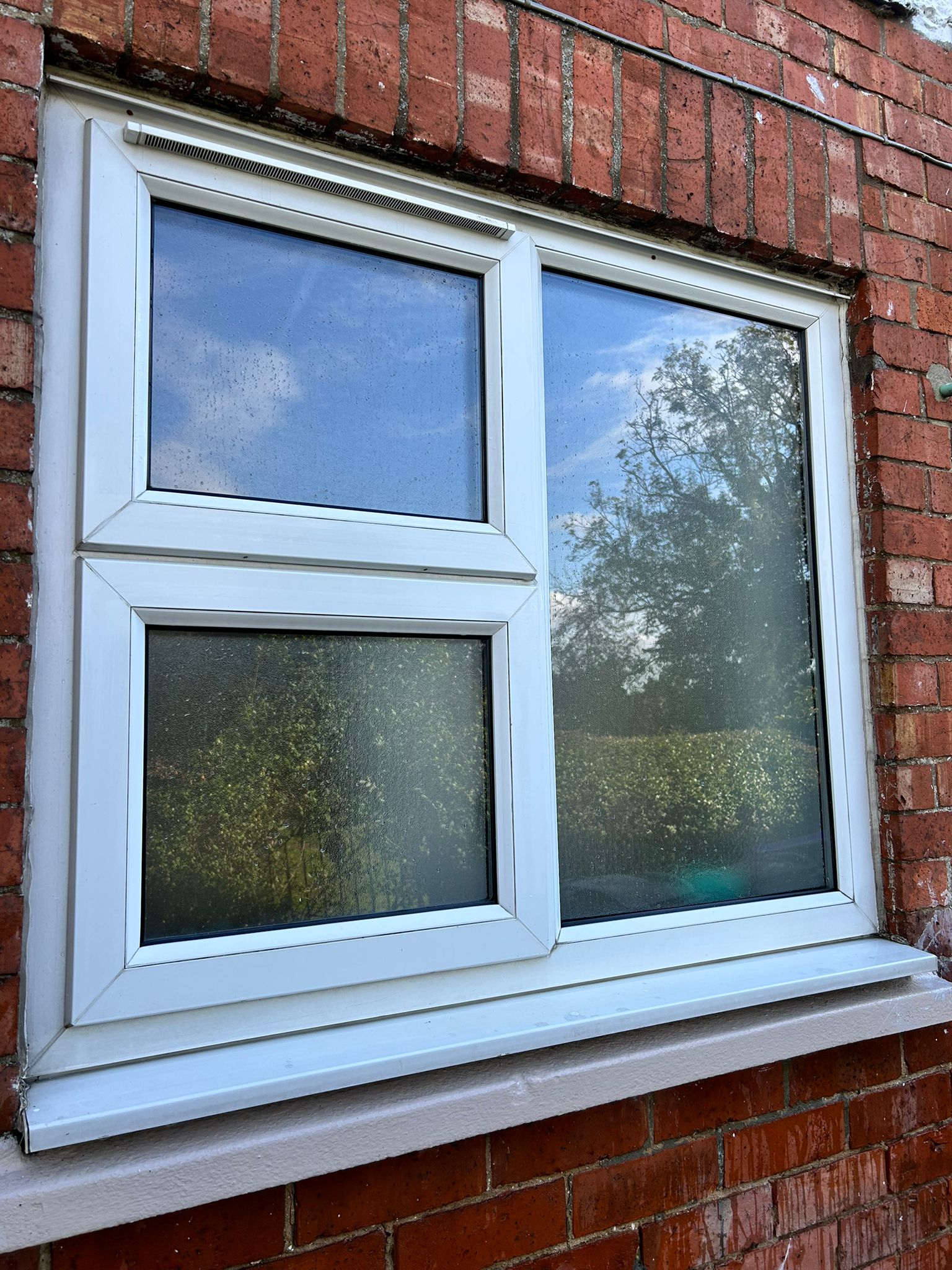 Window Cleaning 3
