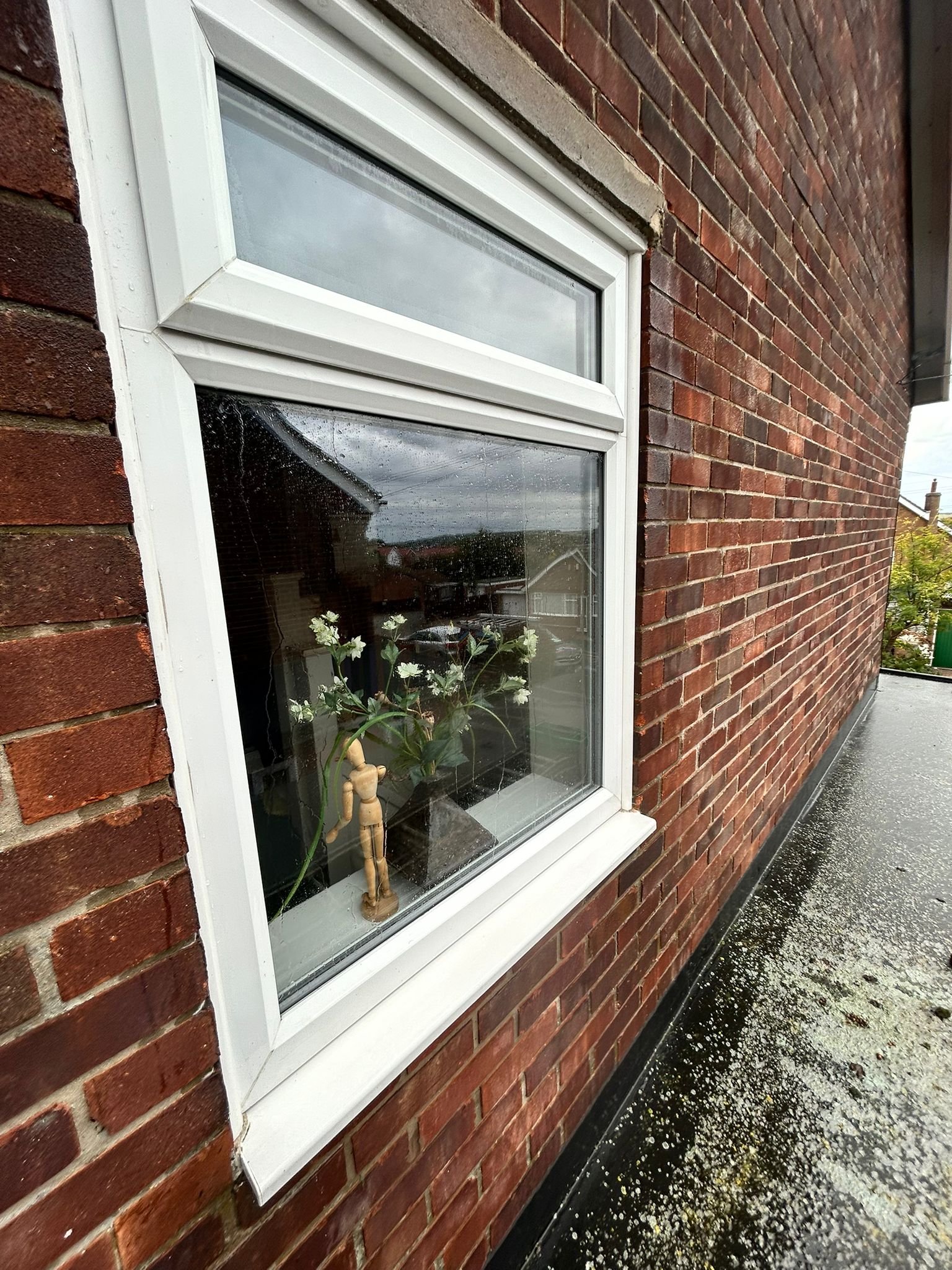 Window Cleaning 4